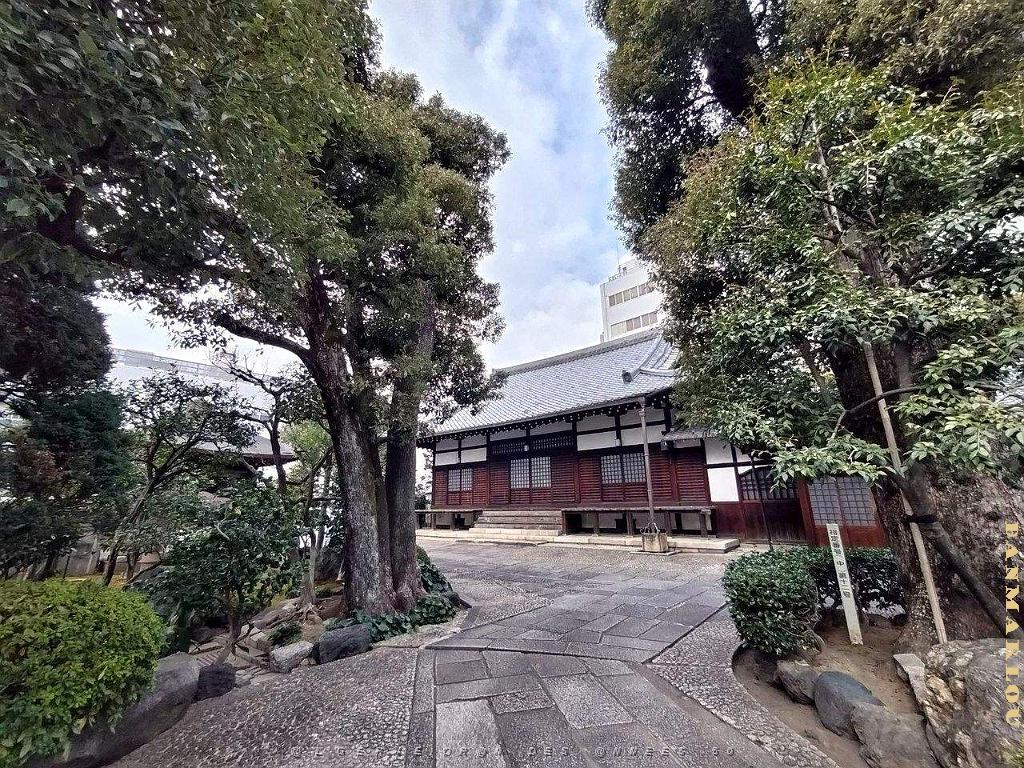 NAGOYA - Centre Ville et Vie Quotidienne - Janvier 2024 - 037.JPG